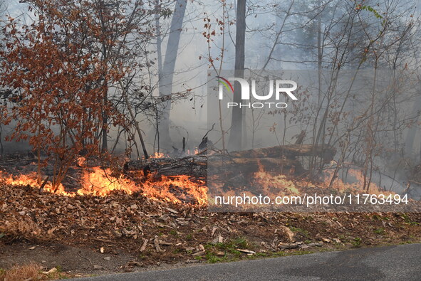 A wildfire impacts several forests in the area on Sunday morning in New York State as it is announced that a New York State parks employee w...