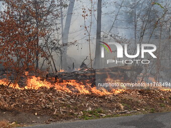 A wildfire impacts several forests in the area on Sunday morning in New York State as it is announced that a New York State parks employee w...