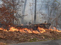 A wildfire impacts several forests in the area on Sunday morning in New York State as it is announced that a New York State parks employee w...