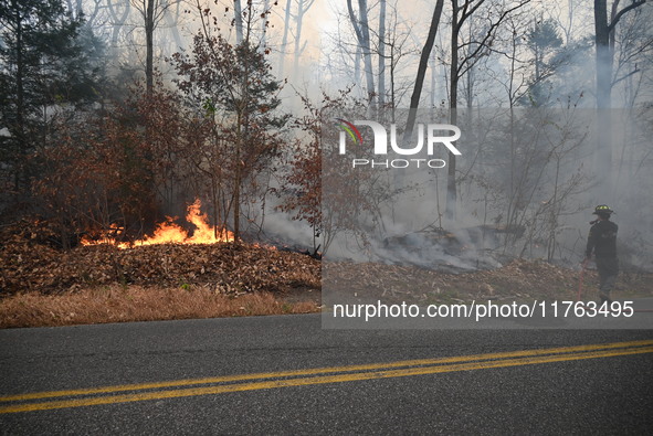 A wildfire impacts several forests in the area on Sunday morning in New York State as it is announced that a New York State parks employee w...