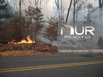 A wildfire impacts several forests in the area on Sunday morning in New York State as it is announced that a New York State parks employee w...