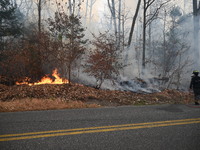 A wildfire impacts several forests in the area on Sunday morning in New York State as it is announced that a New York State parks employee w...