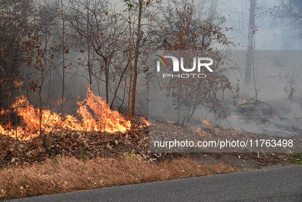 A wildfire impacts several forests in the area on Sunday morning in New York State as it is announced that a New York State parks employee w...