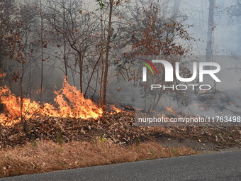 A wildfire impacts several forests in the area on Sunday morning in New York State as it is announced that a New York State parks employee w...