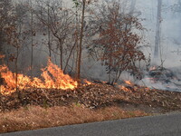 A wildfire impacts several forests in the area on Sunday morning in New York State as it is announced that a New York State parks employee w...