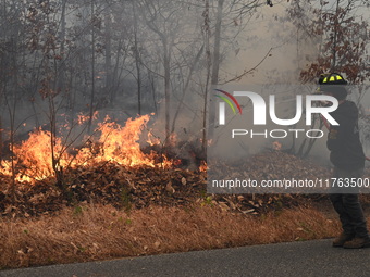 A wildfire impacts several forests in the area on Sunday morning in New York State as it is announced that a New York State parks employee w...