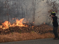 A wildfire impacts several forests in the area on Sunday morning in New York State as it is announced that a New York State parks employee w...