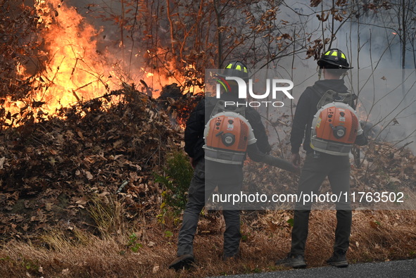 A wildfire impacts several forests in the area on Sunday morning in New York State as it is announced that a New York State parks employee w...