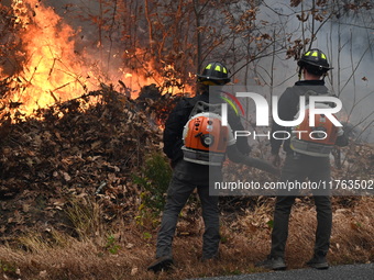 A wildfire impacts several forests in the area on Sunday morning in New York State as it is announced that a New York State parks employee w...