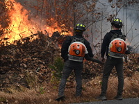 A wildfire impacts several forests in the area on Sunday morning in New York State as it is announced that a New York State parks employee w...