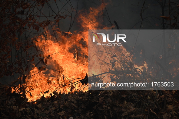 A wildfire impacts several forests in the area on Sunday morning in New York State as it is announced that a New York State parks employee w...