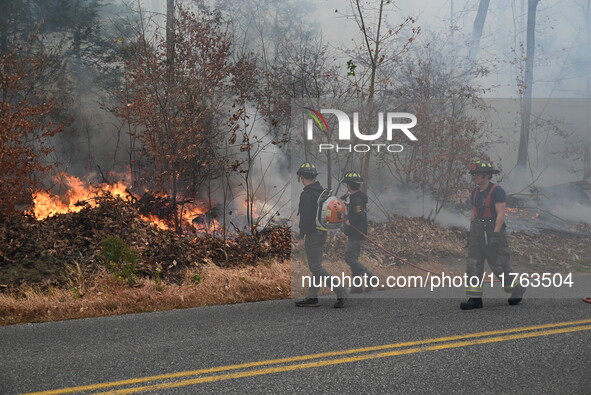 A wildfire impacts several forests in the area on Sunday morning in New York State as it is announced that a New York State parks employee w...