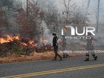 A wildfire impacts several forests in the area on Sunday morning in New York State as it is announced that a New York State parks employee w...