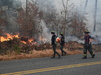 A wildfire impacts several forests in the area on Sunday morning in New York State as it is announced that a New York State parks employee w...