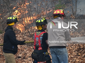 A wildfire impacts several forests in the area on Sunday morning in New York State as it is announced that a New York State parks employee w...