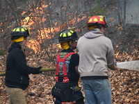 A wildfire impacts several forests in the area on Sunday morning in New York State as it is announced that a New York State parks employee w...