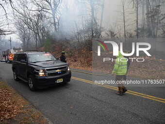 A wildfire impacts several forests in the area on Sunday morning in New York State as it is announced that a New York State parks employee w...