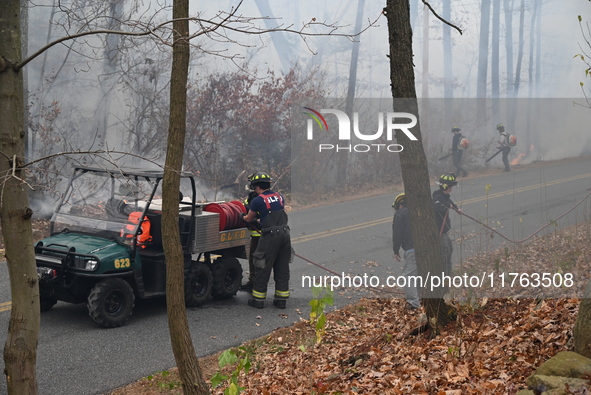 A wildfire impacts several forests in the area on Sunday morning in New York State as it is announced that a New York State parks employee w...