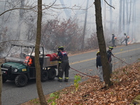 A wildfire impacts several forests in the area on Sunday morning in New York State as it is announced that a New York State parks employee w...