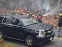 A wildfire impacts several forests in the area on Sunday morning in New York State as it is announced that a New York State parks employee w...