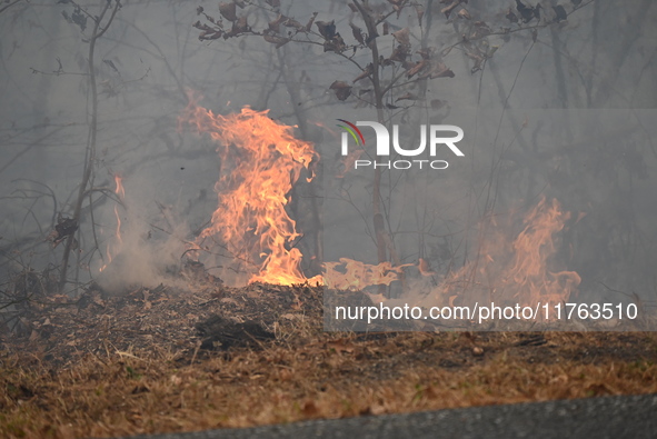 A wildfire impacts several forests in the area on Sunday morning in New York State as it is announced that a New York State parks employee w...