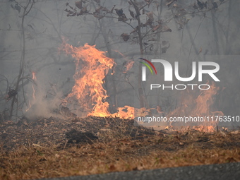 A wildfire impacts several forests in the area on Sunday morning in New York State as it is announced that a New York State parks employee w...