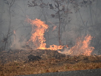 A wildfire impacts several forests in the area on Sunday morning in New York State as it is announced that a New York State parks employee w...