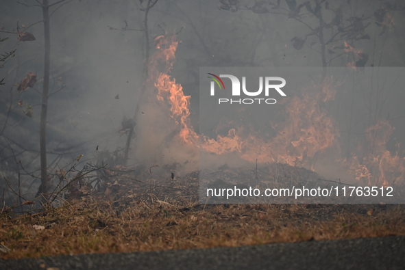 A wildfire impacts several forests in the area on Sunday morning in New York State as it is announced that a New York State parks employee w...