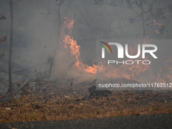 A wildfire impacts several forests in the area on Sunday morning in New York State as it is announced that a New York State parks employee w...