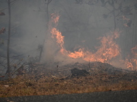 A wildfire impacts several forests in the area on Sunday morning in New York State as it is announced that a New York State parks employee w...