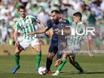 In Seville, Spain, on November 10, 2024, Sergi Altimira of Real Betis, Diego Llorente of Real Betis, and Borja Iglesias of RC Celta de Vigo...