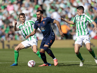 Borja Iglesias of RC Celta de Vigo competes for the ball with Diego Llorente of Real Betis during the La Liga EA Sport match between Real Be...