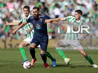 In Seville, Spain, on November 10, 2024, Borja Iglesias of RC Celta de Vigo competes for the ball with Diego Llorente and Sergi Altimira of...