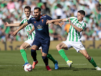 In Seville, Spain, on November 10, 2024, Borja Iglesias of RC Celta de Vigo competes for the ball with Diego Llorente and Sergi Altimira of...