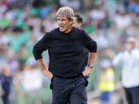 Manuel Pellegrini, head coach of Real Betis, gives instructions during the La Liga EA Sport match between Real Betis and RC Celta de Vigo at...