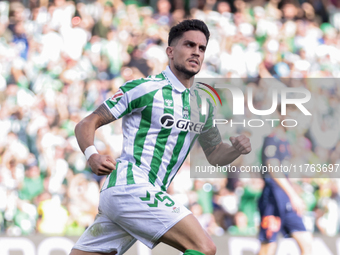 Marc Bartra of Real Betis celebrates a goal during the La Liga EA Sport match between Real Betis and RC Celta de Vigo at Benito Villamarin i...