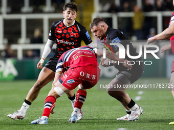 Richard Palframan of Newcastle Falcons plays during the Premiership Cup Pool A match between Newcastle Falcons and Doncaster Knights at King...