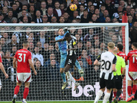 Matz Sels, the Nottingham Forest goalkeeper, punches the ball clear under pressure from Alexander Isak of Newcastle United during the Premie...