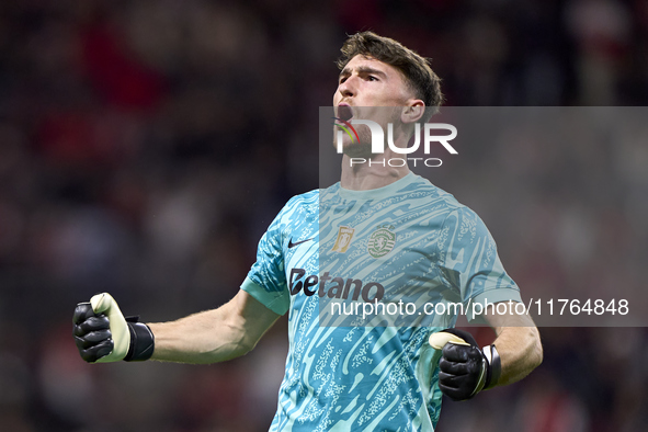 Franco Israel of Sporting CP celebrates after Conrad Harder (not in frame) scores their side's fourth goal during the Liga Portugal Betclic...