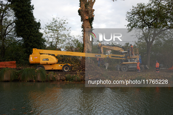 Workers stand near a mutilated plane tree on the riverbanks of the Canal. The Gendarmerie blocks access to one of the rivers of the Canal du...