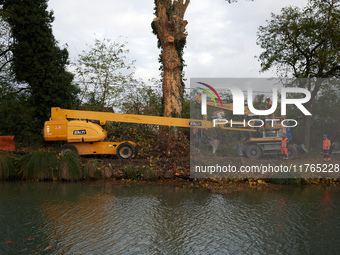 Workers stand near a mutilated plane tree on the riverbanks of the Canal. The Gendarmerie blocks access to one of the rivers of the Canal du...