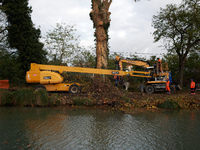 Workers stand near a mutilated plane tree on the riverbanks of the Canal. The Gendarmerie blocks access to one of the rivers of the Canal du...