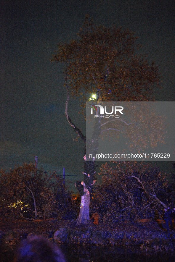 Two 'ecureuils' still stand in a mutilated plane tree. The gendarmerie blocks access to one of the rivers of the Canal du Midi to expel 'ecu...