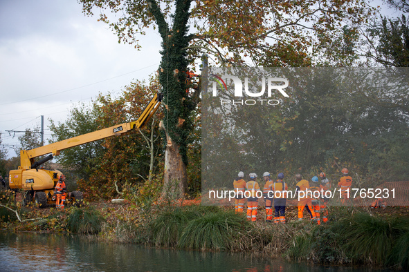 Workers begin to cut a plane tree where 'ecureuils' still stand. The gendarmerie blocks access to one of the rivers of the Canal du Midi to...