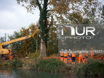 Workers begin to cut a plane tree where 'ecureuils' still stand. The gendarmerie blocks access to one of the rivers of the Canal du Midi to...