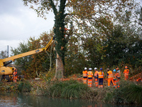 Workers begin to cut a plane tree where 'ecureuils' still stand. The gendarmerie blocks access to one of the rivers of the Canal du Midi to...