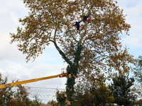 Workers begin to cut a plane tree where 'ecureuils' still live on the banks of the Canal du Midi. The gendarmerie blocks access to one of th...