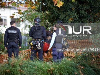 CNAMO and gendarmes arrest an 'ecureuil' (in red) after capturing her on top of a plane tree. The Gendarmerie blocks access to one of the ri...