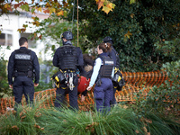 CNAMO and gendarmes arrest an 'ecureuil' (in red) after capturing her on top of a plane tree. The Gendarmerie blocks access to one of the ri...