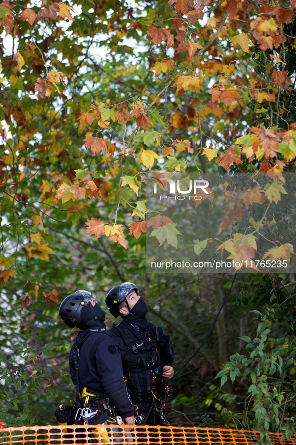 Two CNAMO members look at a tree where an 'ecureuil' lives. The Gendarmerie blocks access to one of the rivers of the Canal du Midi to expel...